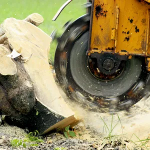 Stump Grinding